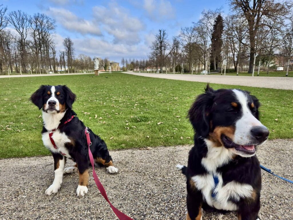 Im Schlossgarten Neustrelitz mit Max und Mia