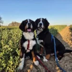 Mia und Max